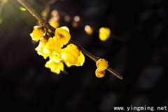 岳麓區公司建站注意的幾點